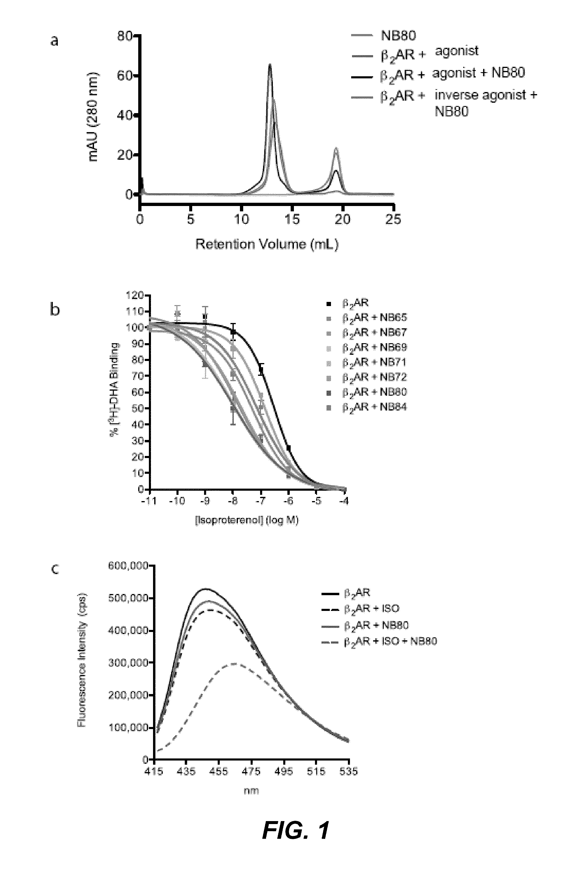 Protein binding domains stabilizing functional conformational states of gpcrs and uses thereof