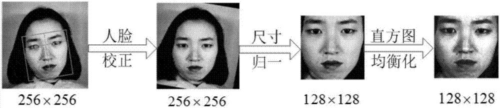 Facial emotion recognition method based on deep sparse convolutional neural network