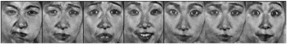 Facial emotion recognition method based on deep sparse convolutional neural network