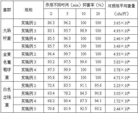 A kind of traditional Chinese medicine health-care absorbent article