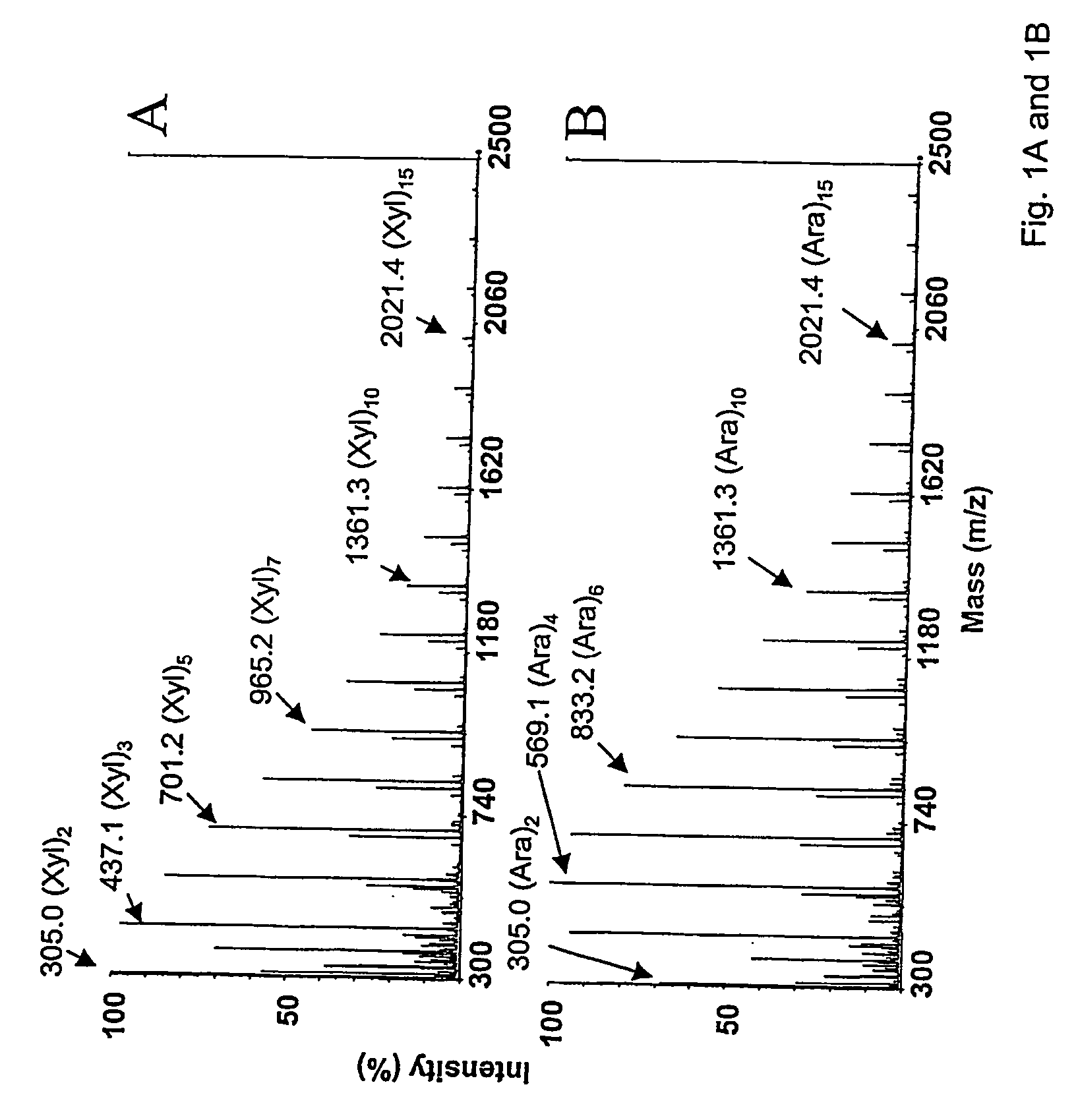 Novel carbohydrate compositions and a process of preparing same