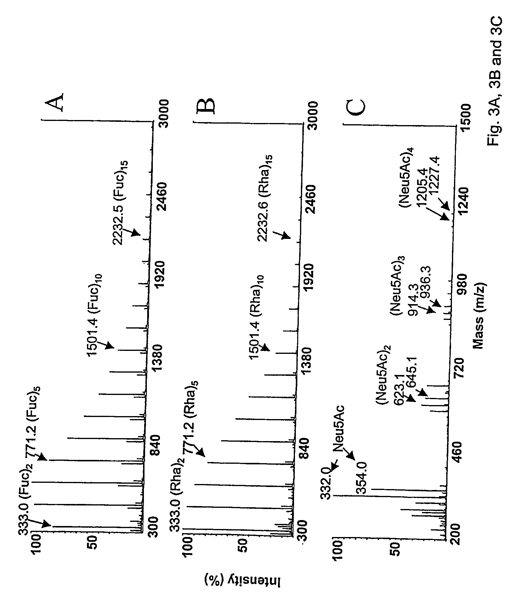 Novel carbohydrate compositions and a process of preparing same