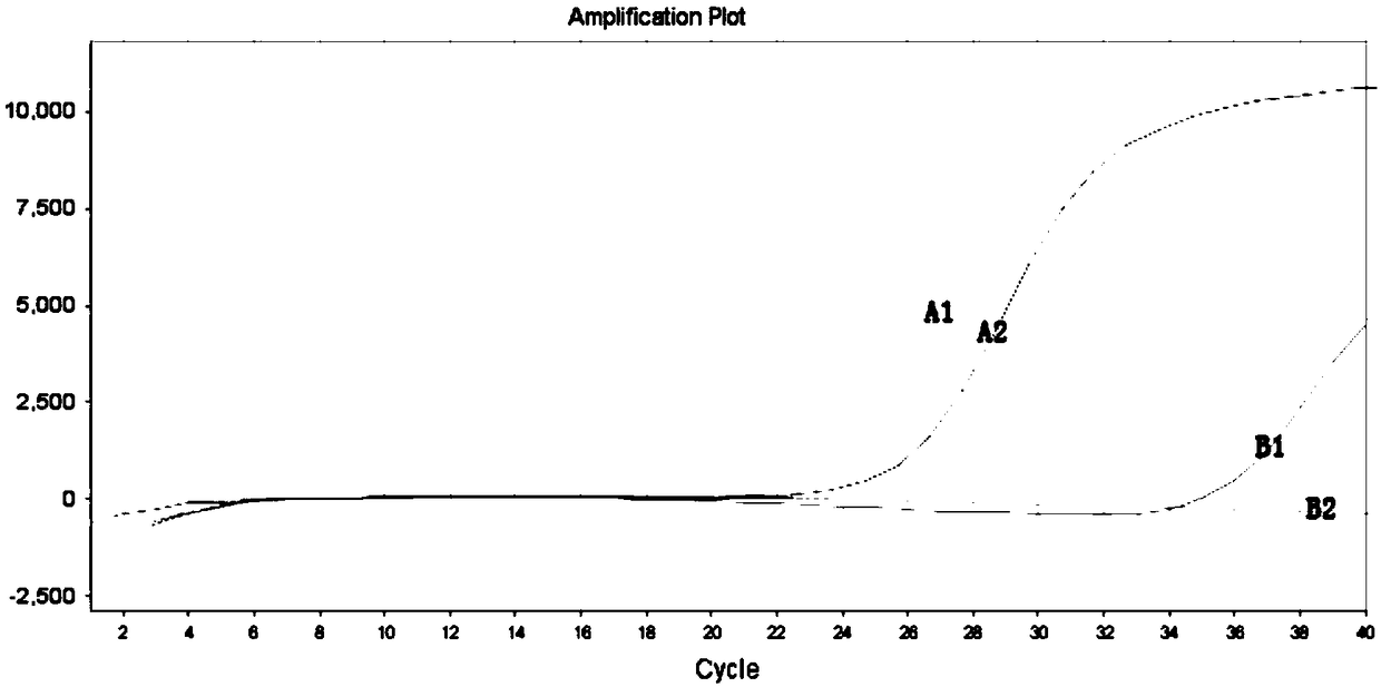 Primer for detecting human gastrointestinal stromal tumor C-KIT gene V559A mutation, detection method and kit thereof