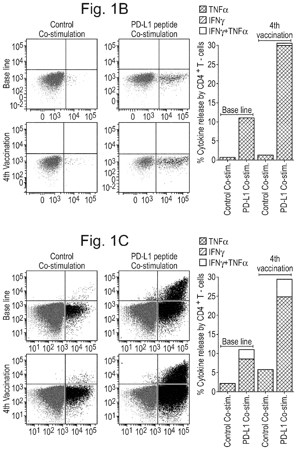 Pdl1 peptides for use in cancer vaccines