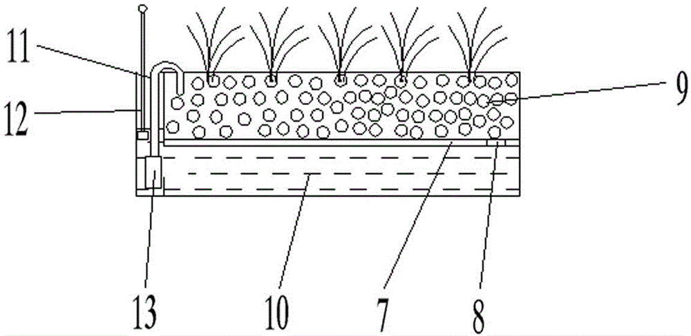 Multifunctional draining rack