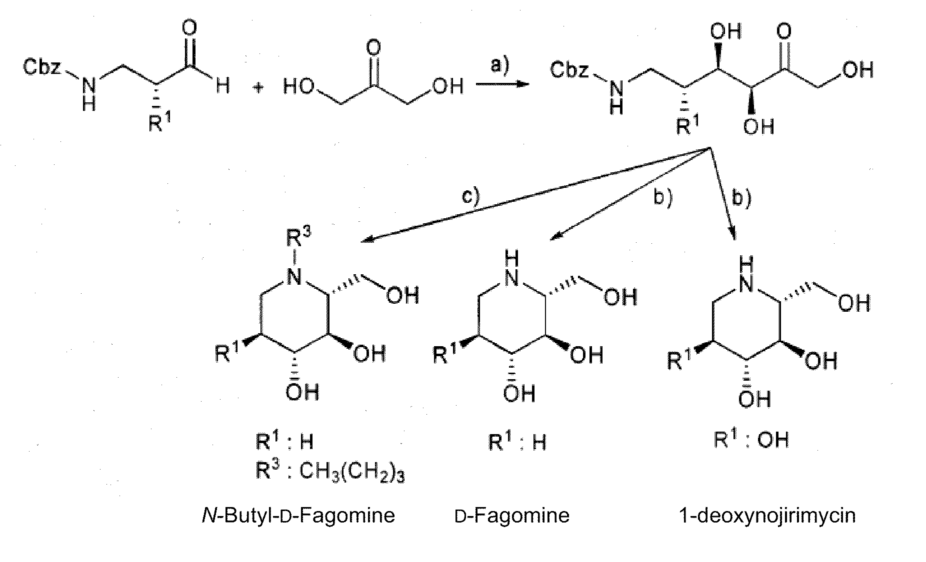 Chemoenzymatic process for the preparation of iminocyclitols