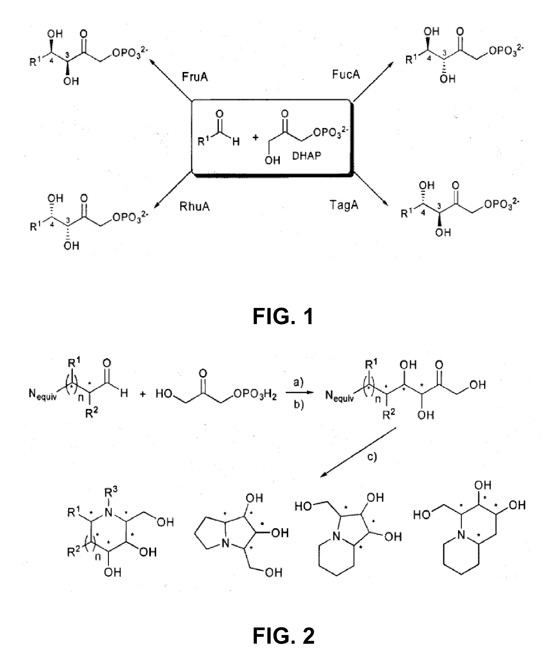 Chemoenzymatic process for the preparation of iminocyclitols