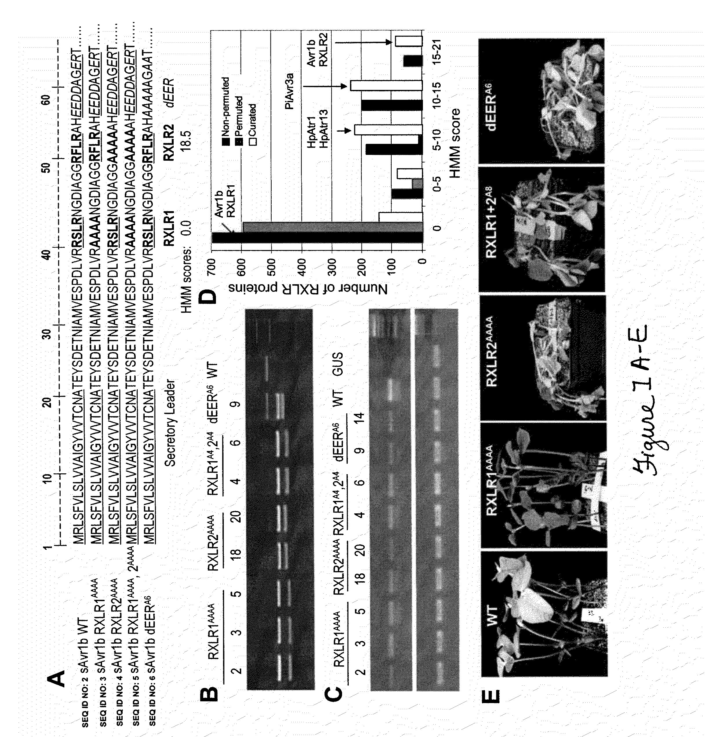 Compositions and methods to protect cells by blocking entry of pathogen proteins