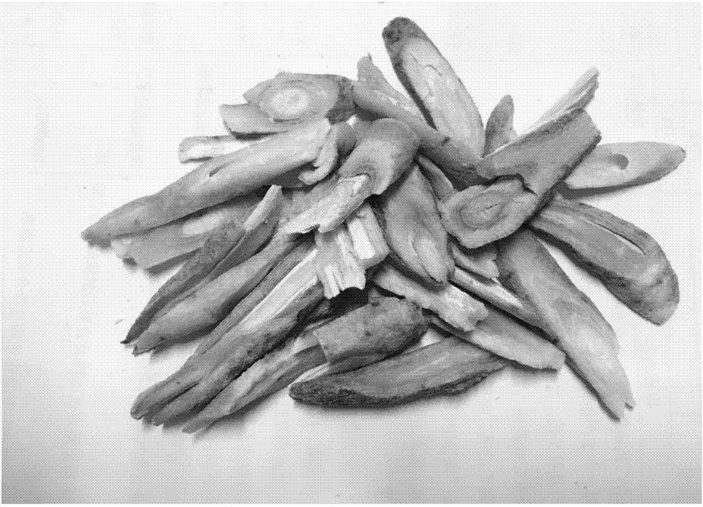 Processing method and device for decoction pieces of dried roots of Changium smyrnioides Wolff