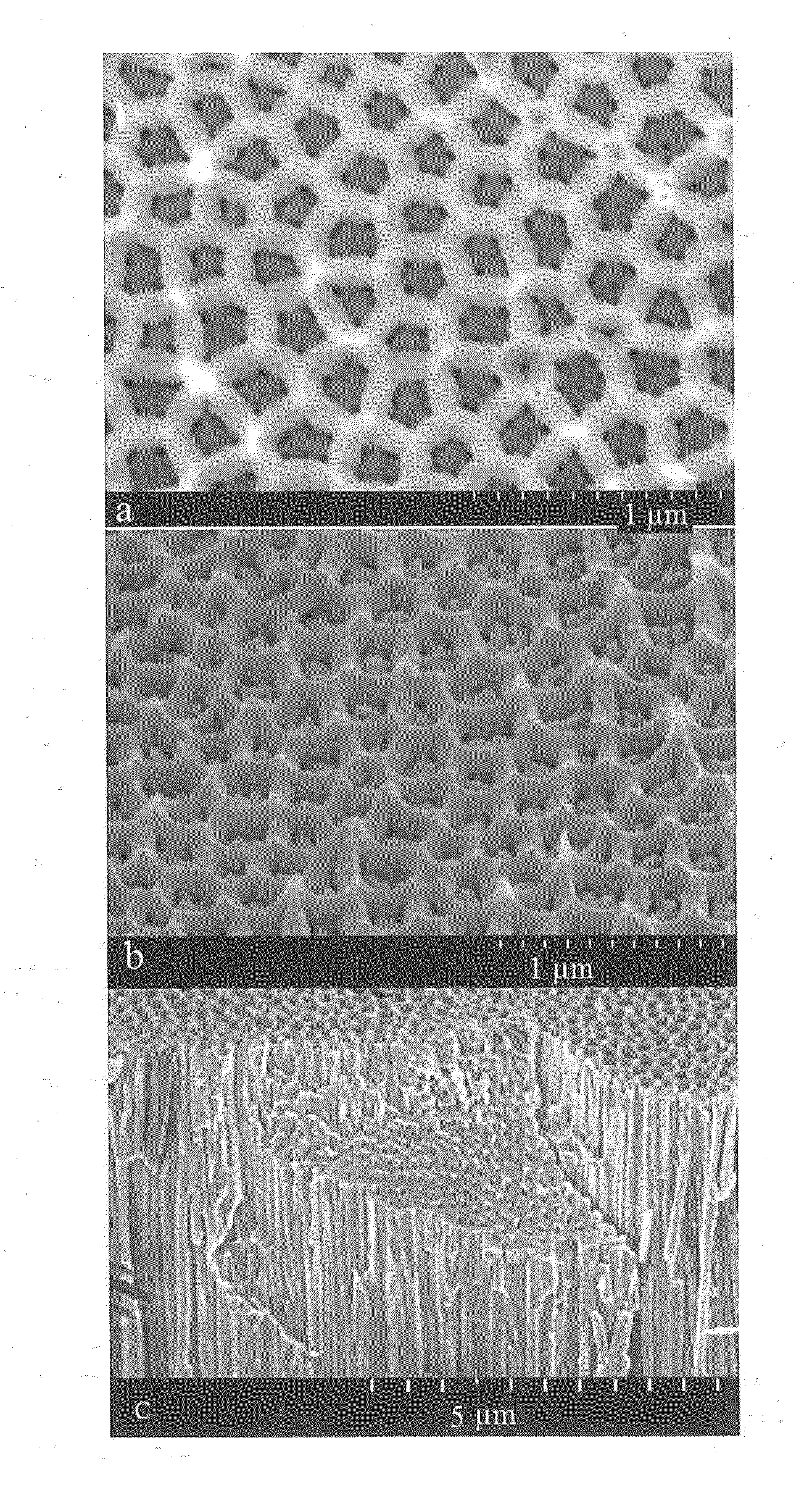Multilayer anodized aluminium oxide nano-porous membrane and method of manufacture thereof