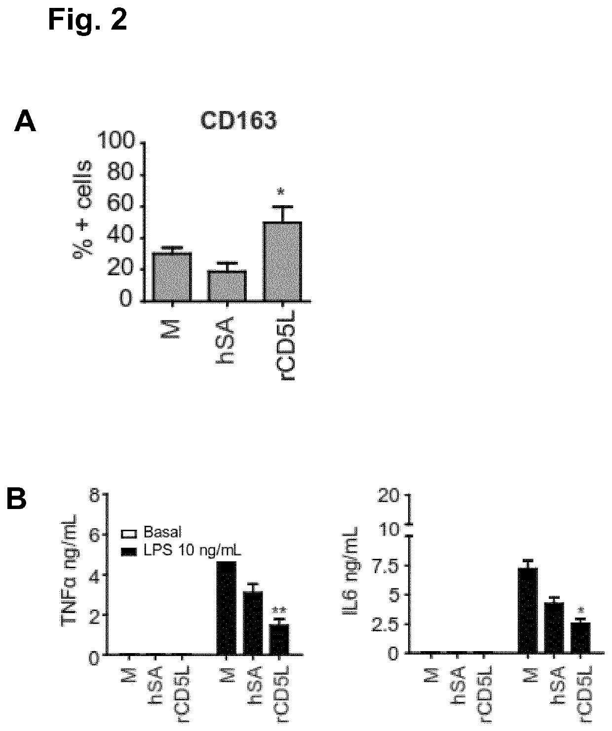 Anti-CD5L antibody and uses thereof