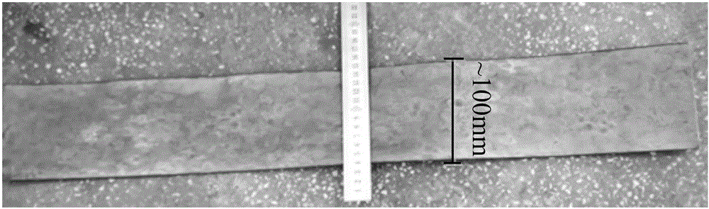 A duplex stainless steel thin strip and its near-net forming preparation method