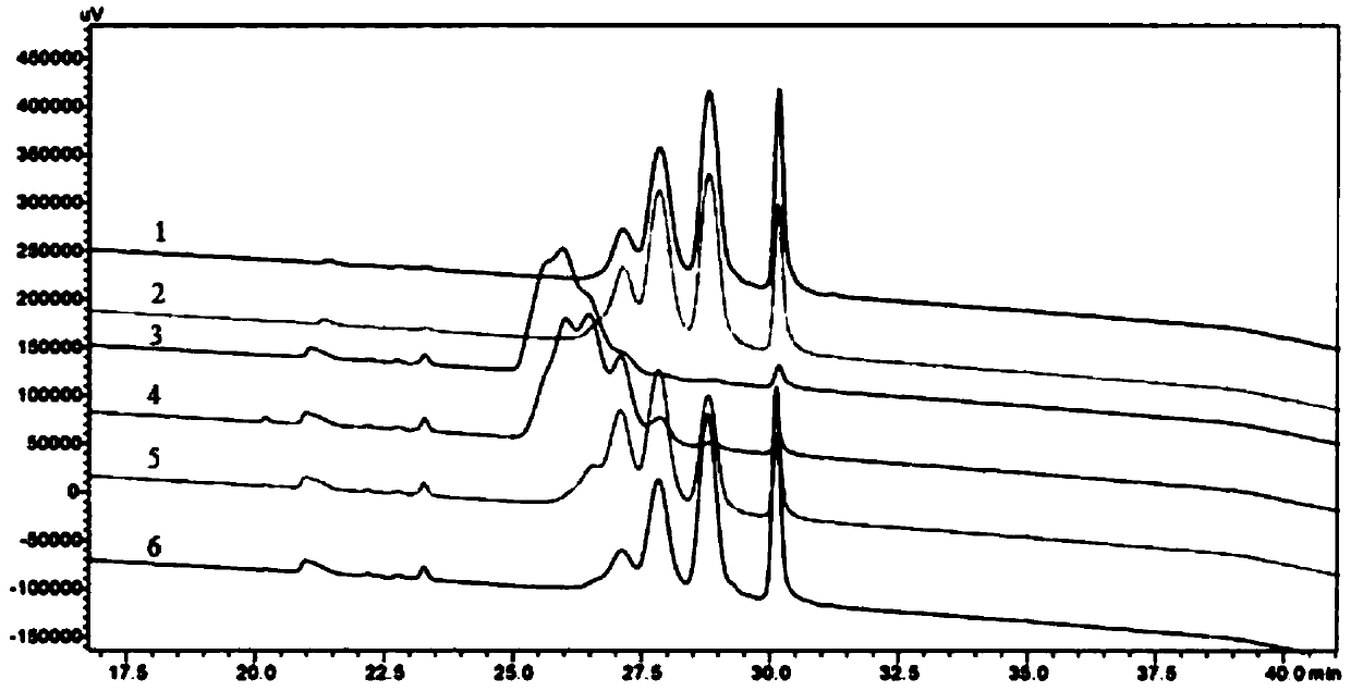 Conjugate of polyethylene glycol-polypeptide and protein drug