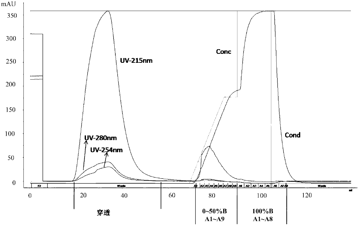 Conjugate of polyethylene glycol-polypeptide and protein drug