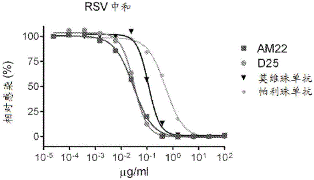 Prefusion RSV F proteins and their use