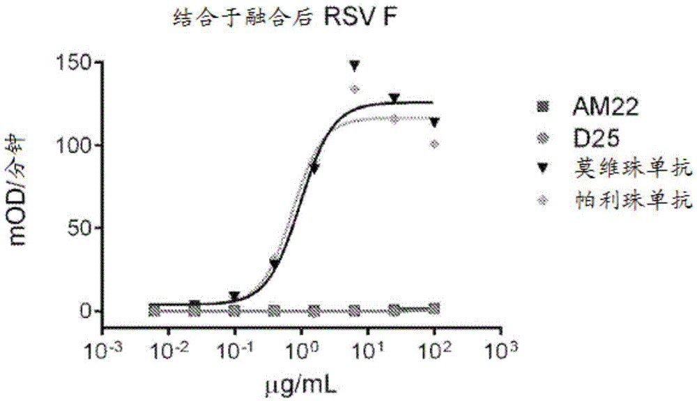 Prefusion RSV F proteins and their use