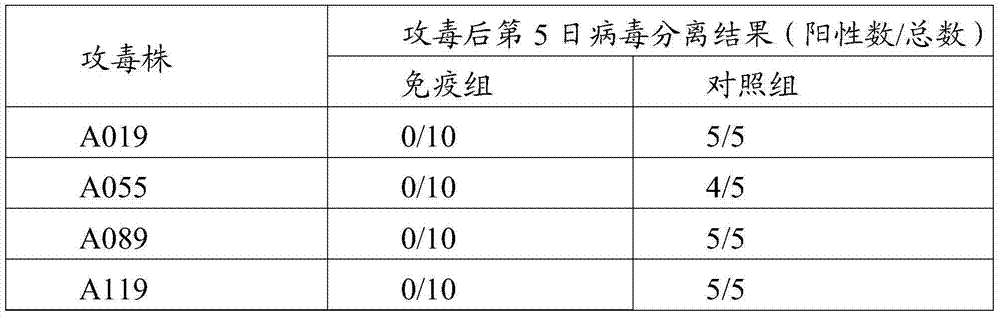 Vaccine composition and preparation method and application thereof