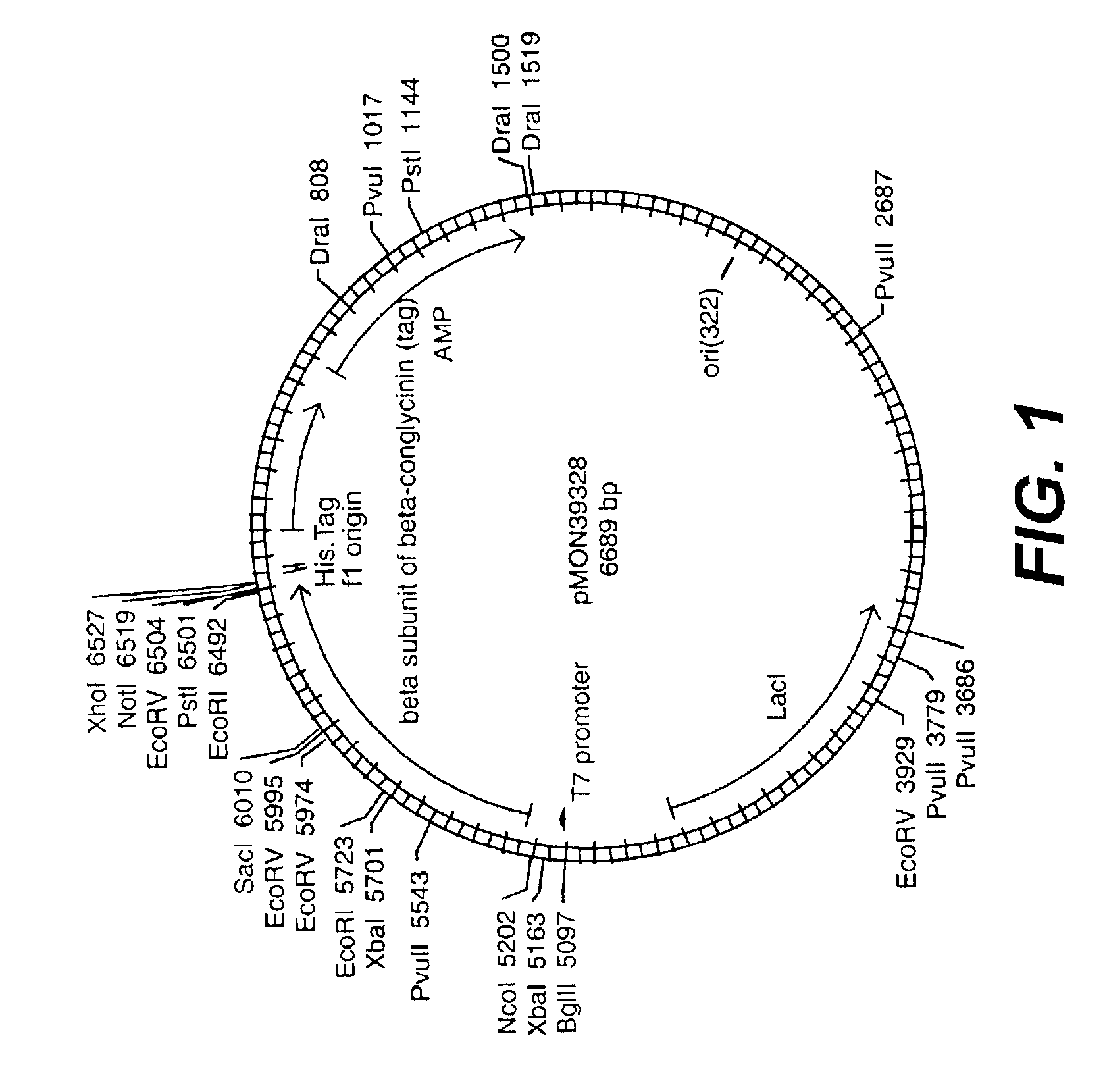 Enhanced proteins and methods for their use