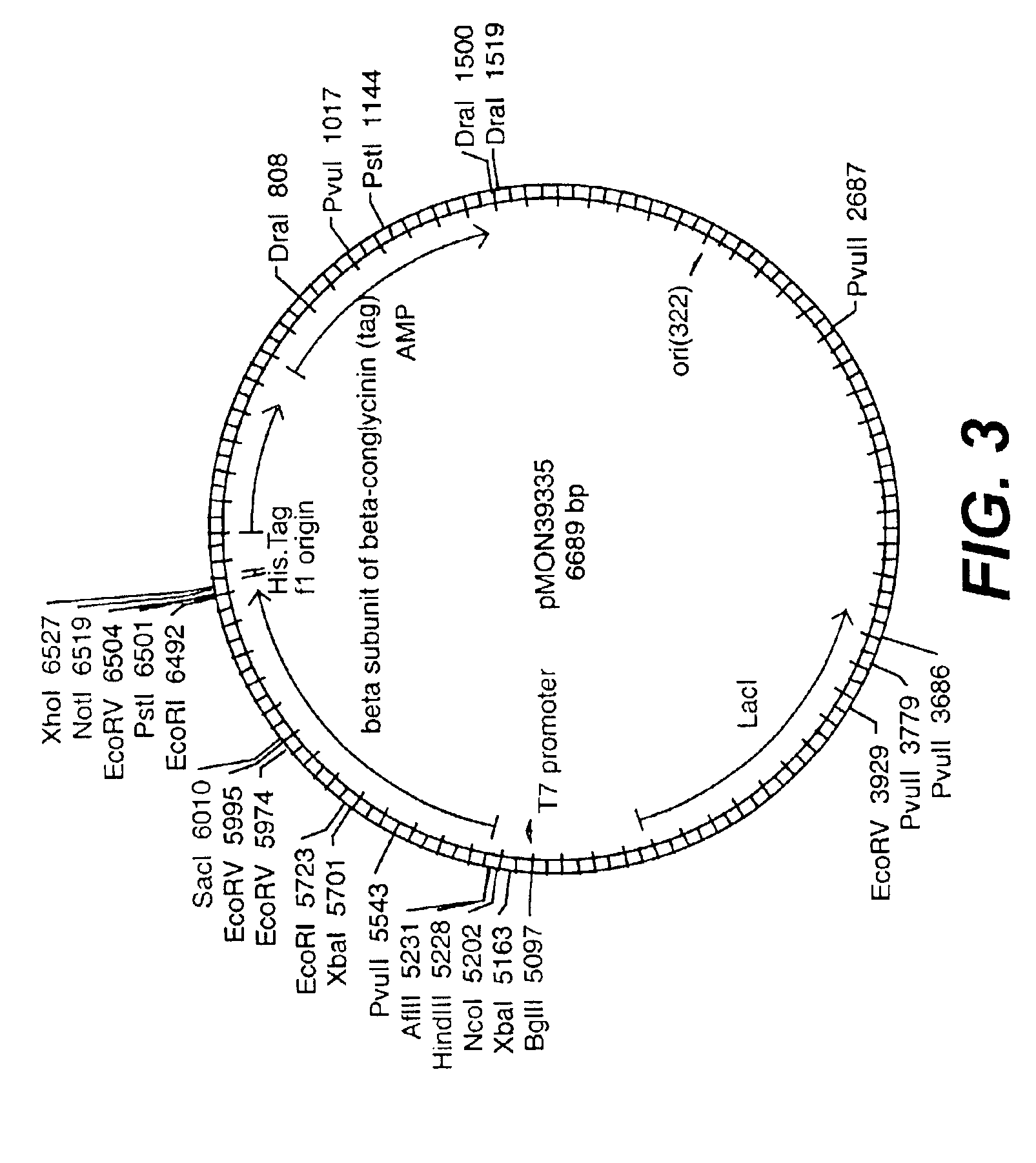 Enhanced proteins and methods for their use