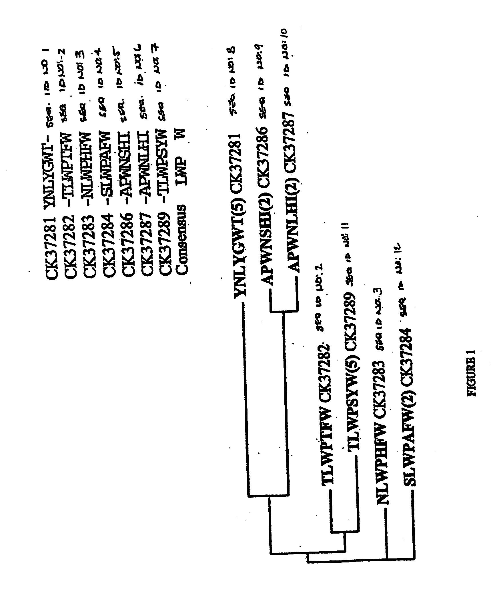 Personal Care Compositions and Methods for Their Use