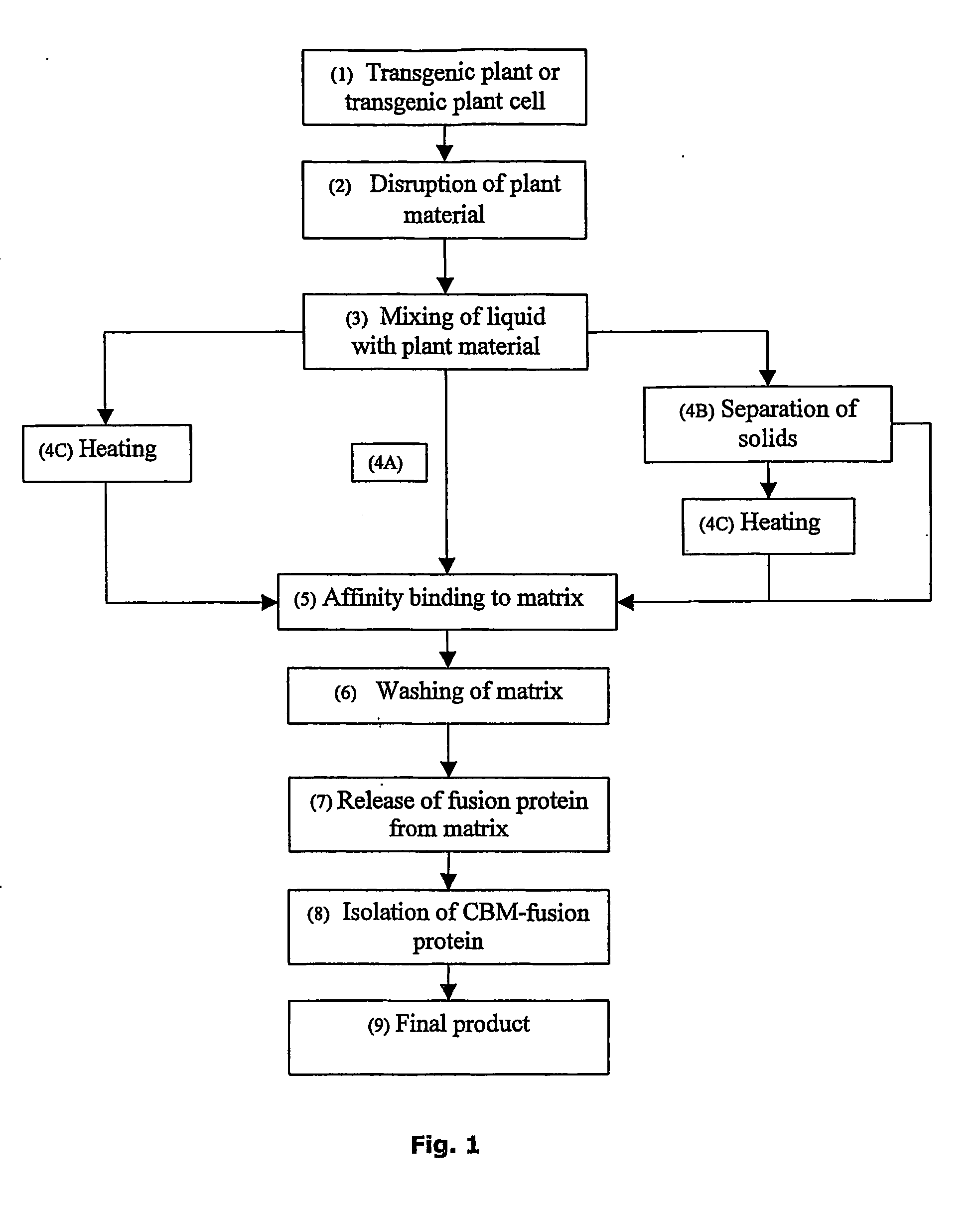 Non-denaturing process to purify recombinant proteins from plants