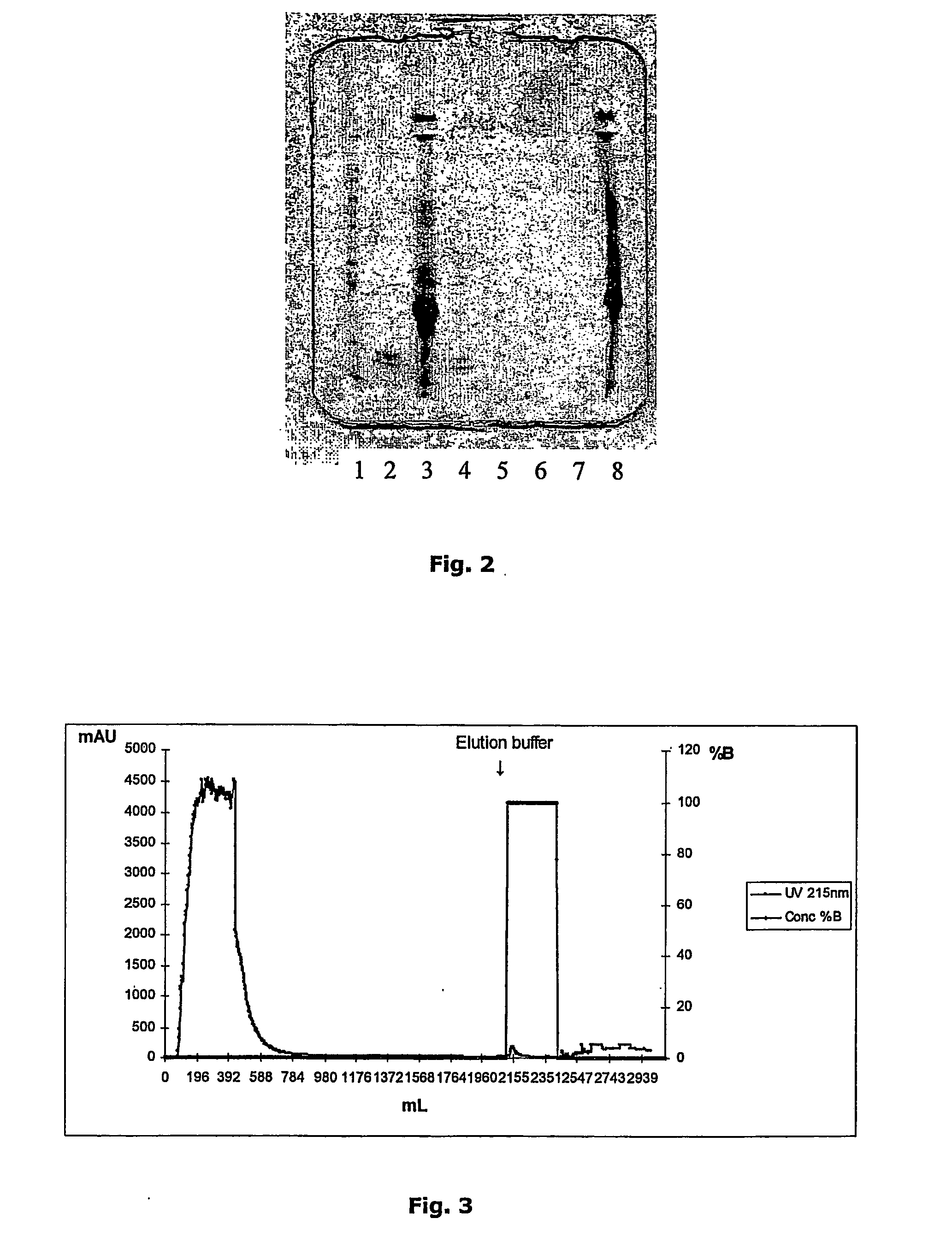 Non-denaturing process to purify recombinant proteins from plants