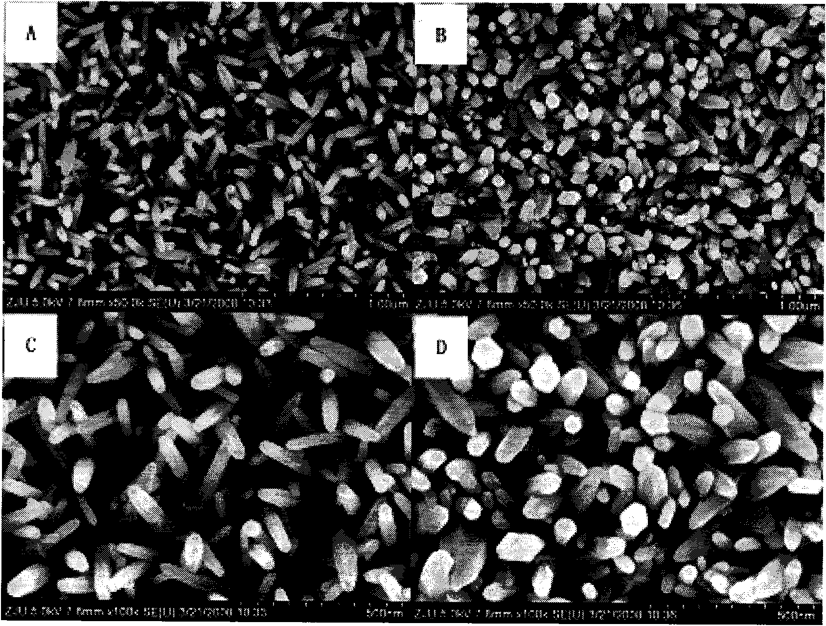 Method for preparing ZnO nanorods array