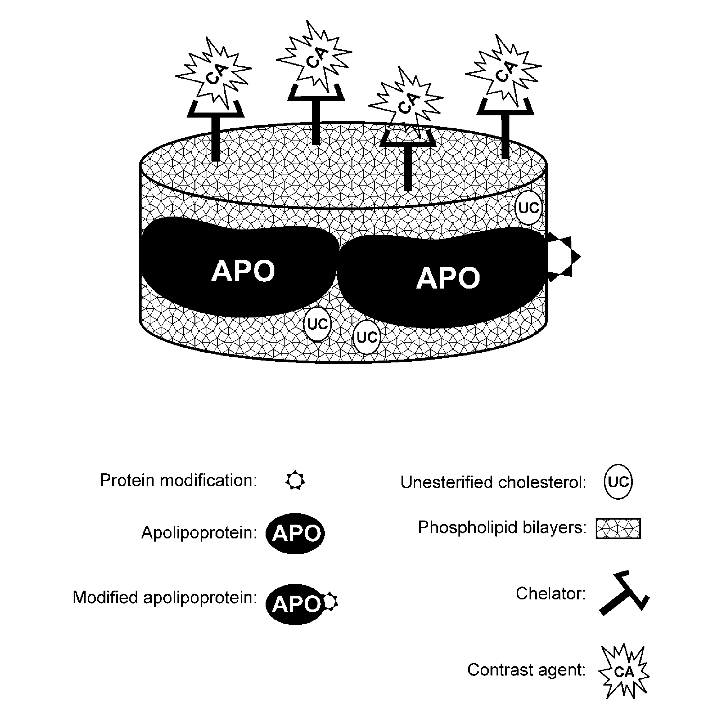 Methods and compositions for targeted imaging