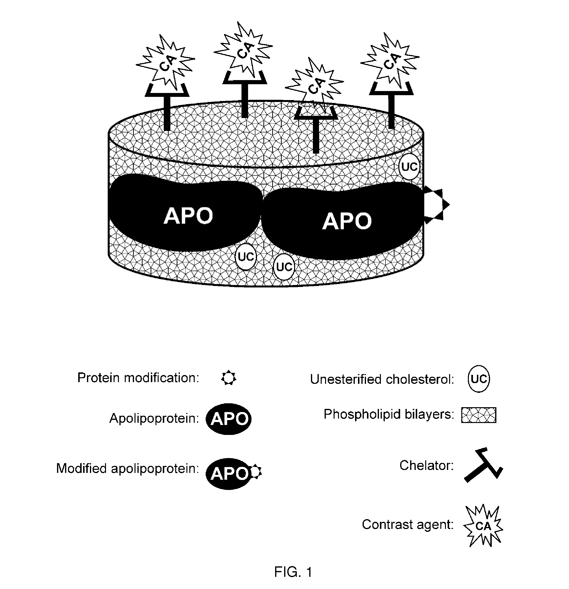 Methods and compositions for targeted imaging