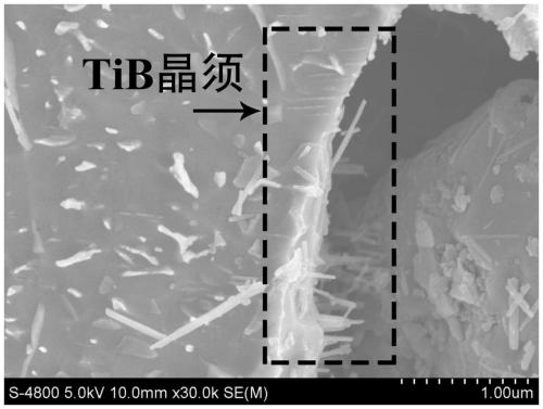 A preparation method of directional arrangement tib whiskers reinforced titanium matrix composites