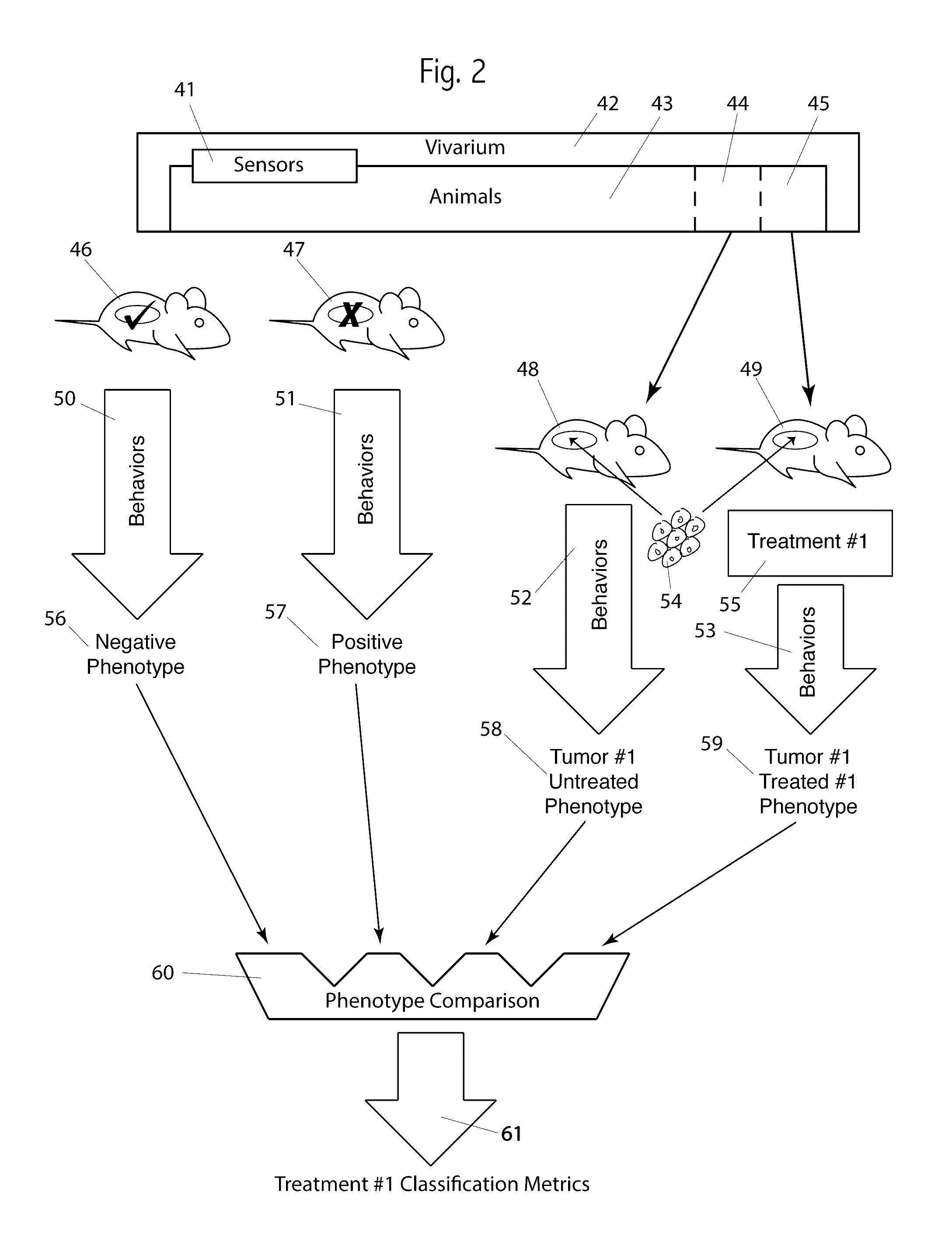 System and method of automatic classification of animal behaviors