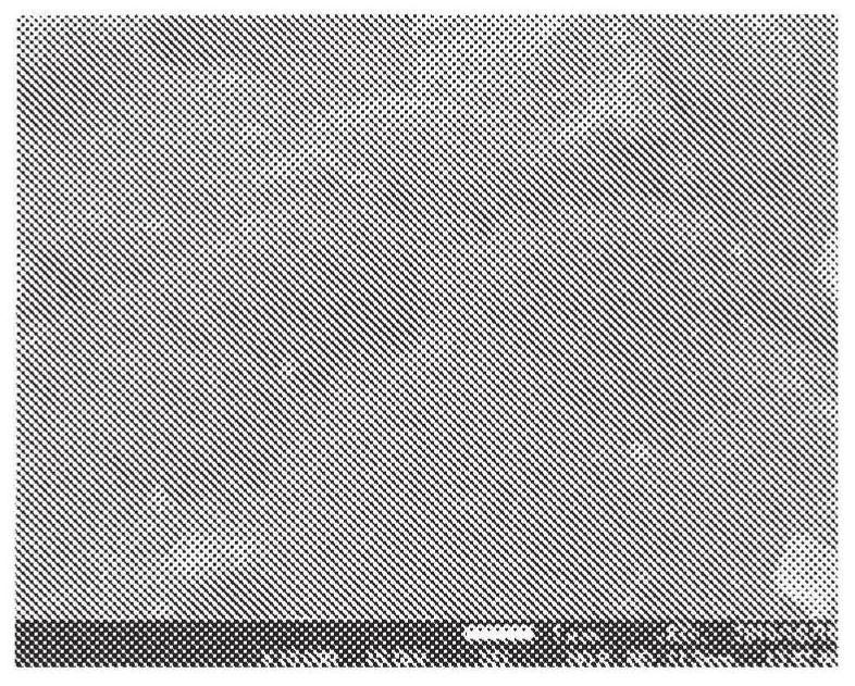 Hydrogen storage material, negative electrode and nickel hydrogen secondary battery