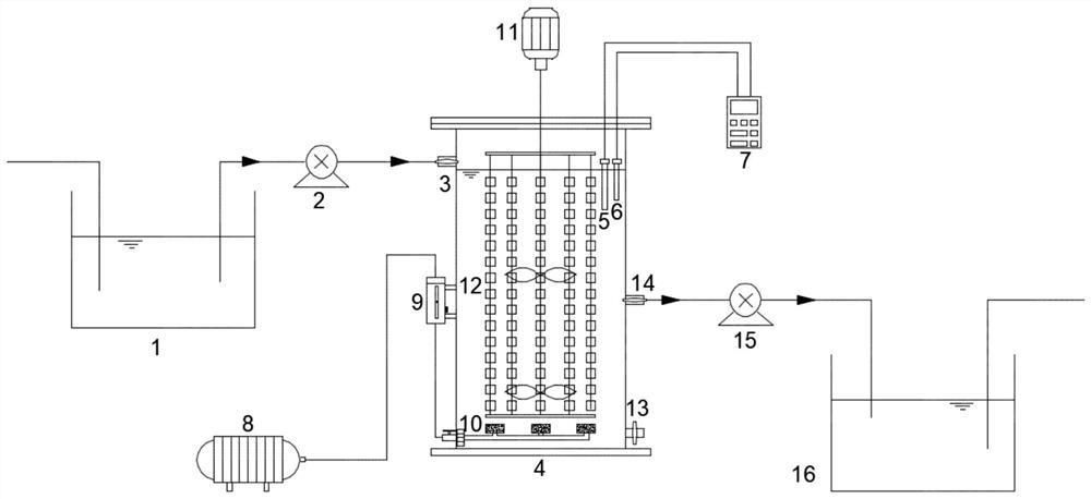 A device and method for the integration of short-range nitrification anammox-short-range denitrification anammox into domestic sewage in stages