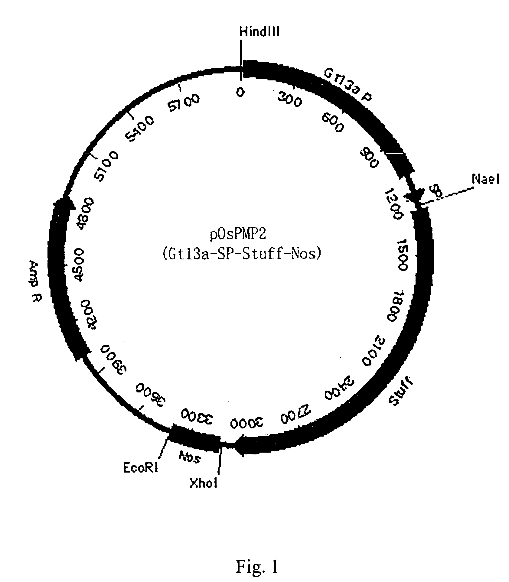 Method of expressing small peptides using cereal non-storage proteins as fusion carrier in endosperm and the use thereof