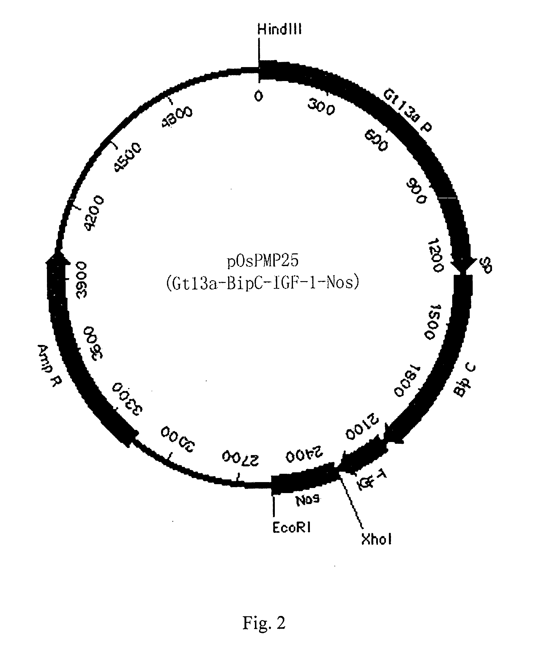 Method of expressing small peptides using cereal non-storage proteins as fusion carrier in endosperm and the use thereof