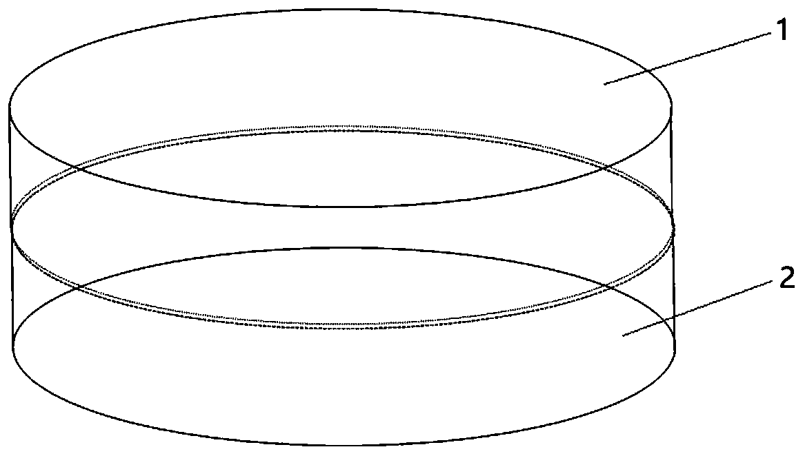 Method for feeding single Tuta absoluta