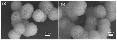 CaF2 nano material with high specific surface area and high thermal stability as well as preparation method and application thereof