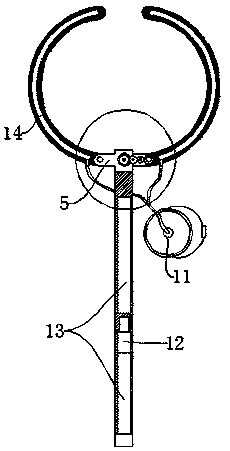 Tree trunk lime brushing device for urban garden greening management