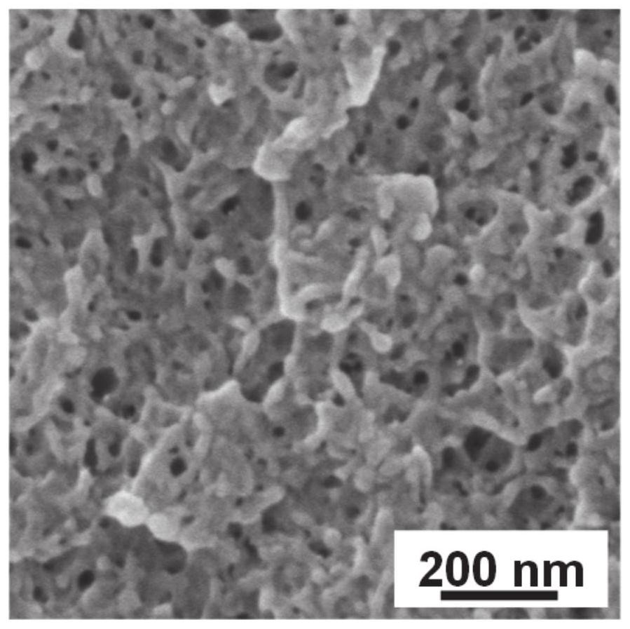 Bicontinuous nanoporous carbon material co-doped with nitrogen and oxygen, its preparation method and application