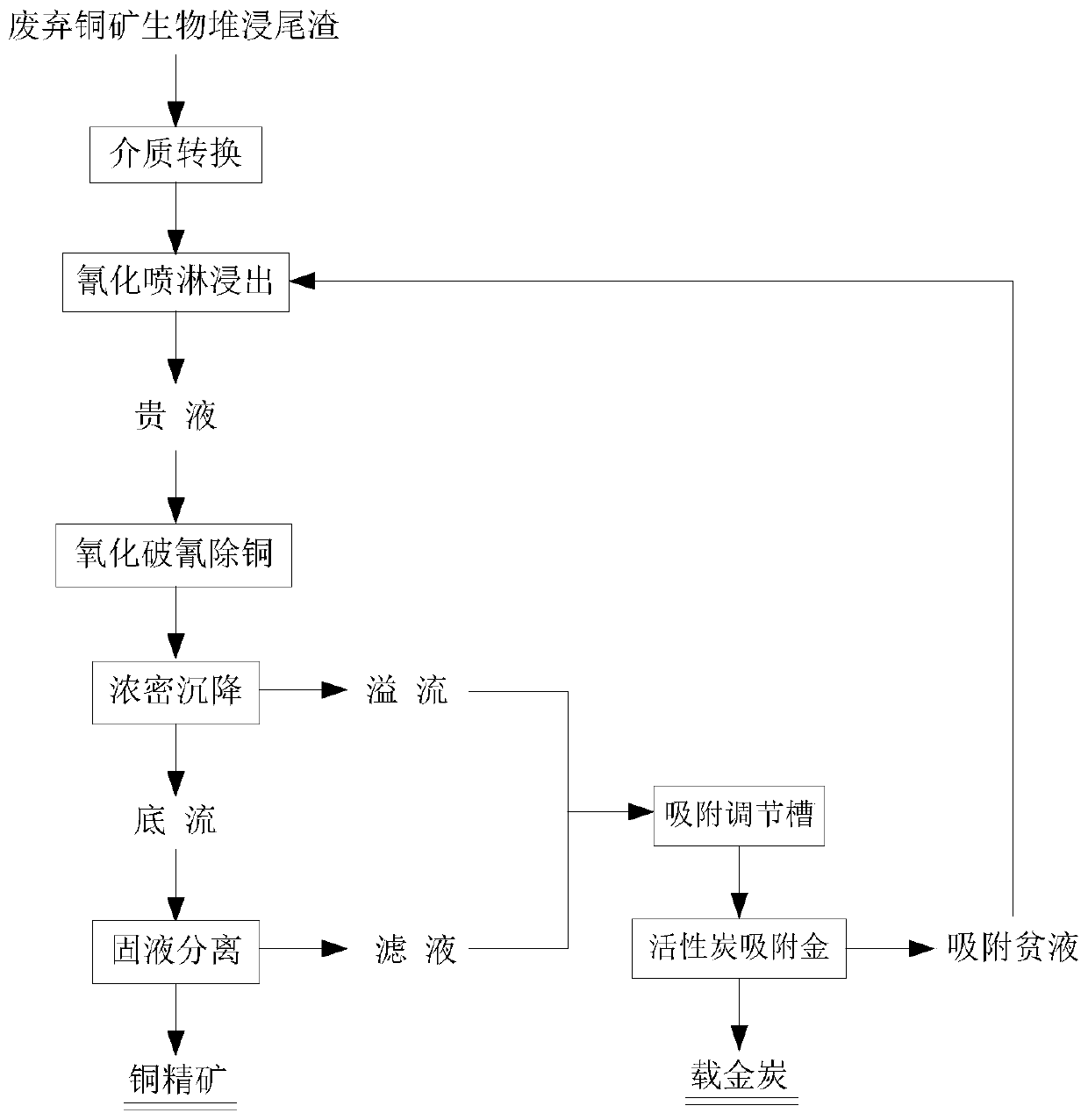 Method for recovering gold and copper from copper ore biological dump leaching tailings