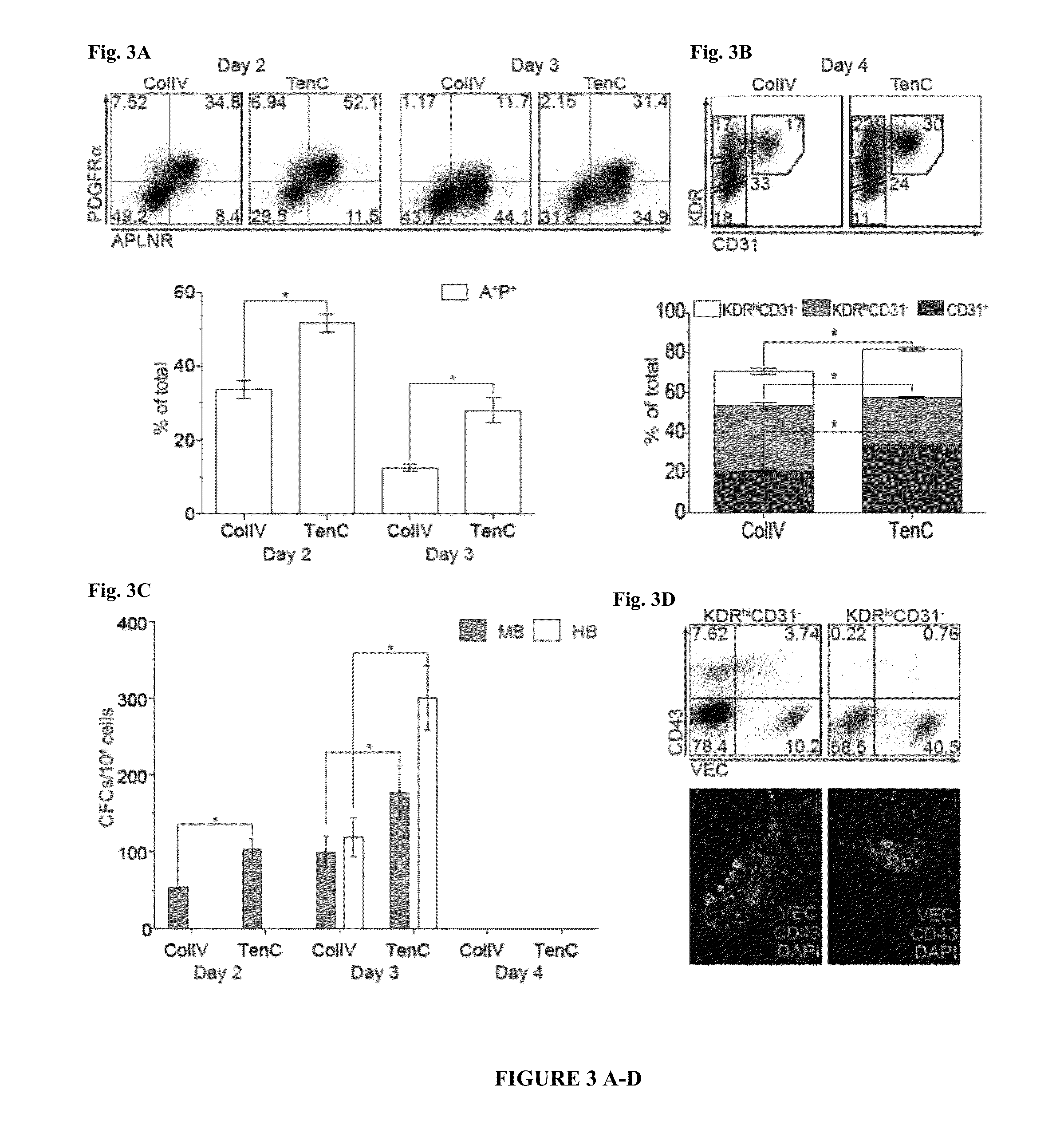 Methods and Materials for Hematoendothelial Differentiation of Human Pluripotent Stem Cells Under Defined Conditions