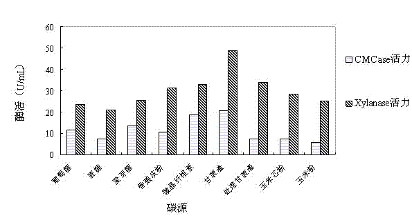 Production method of recombinant multifunctional cellulase