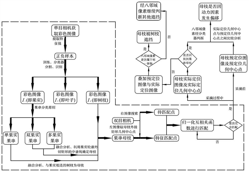 Method for judging interference type of bunch-type fruit mother branch based on visual scaling method