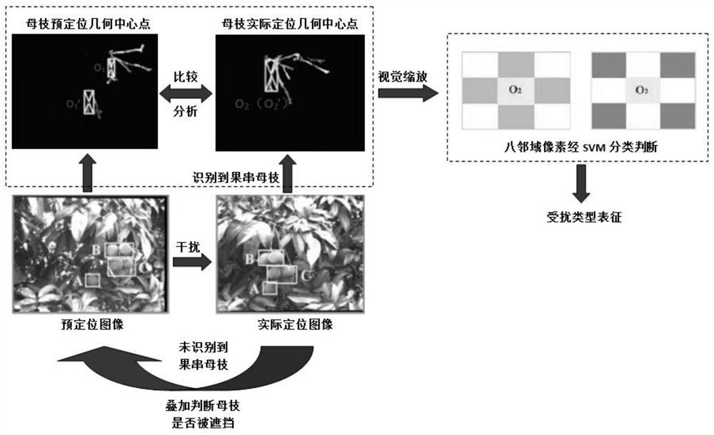 Method for judging interference type of bunch-type fruit mother branch based on visual scaling method