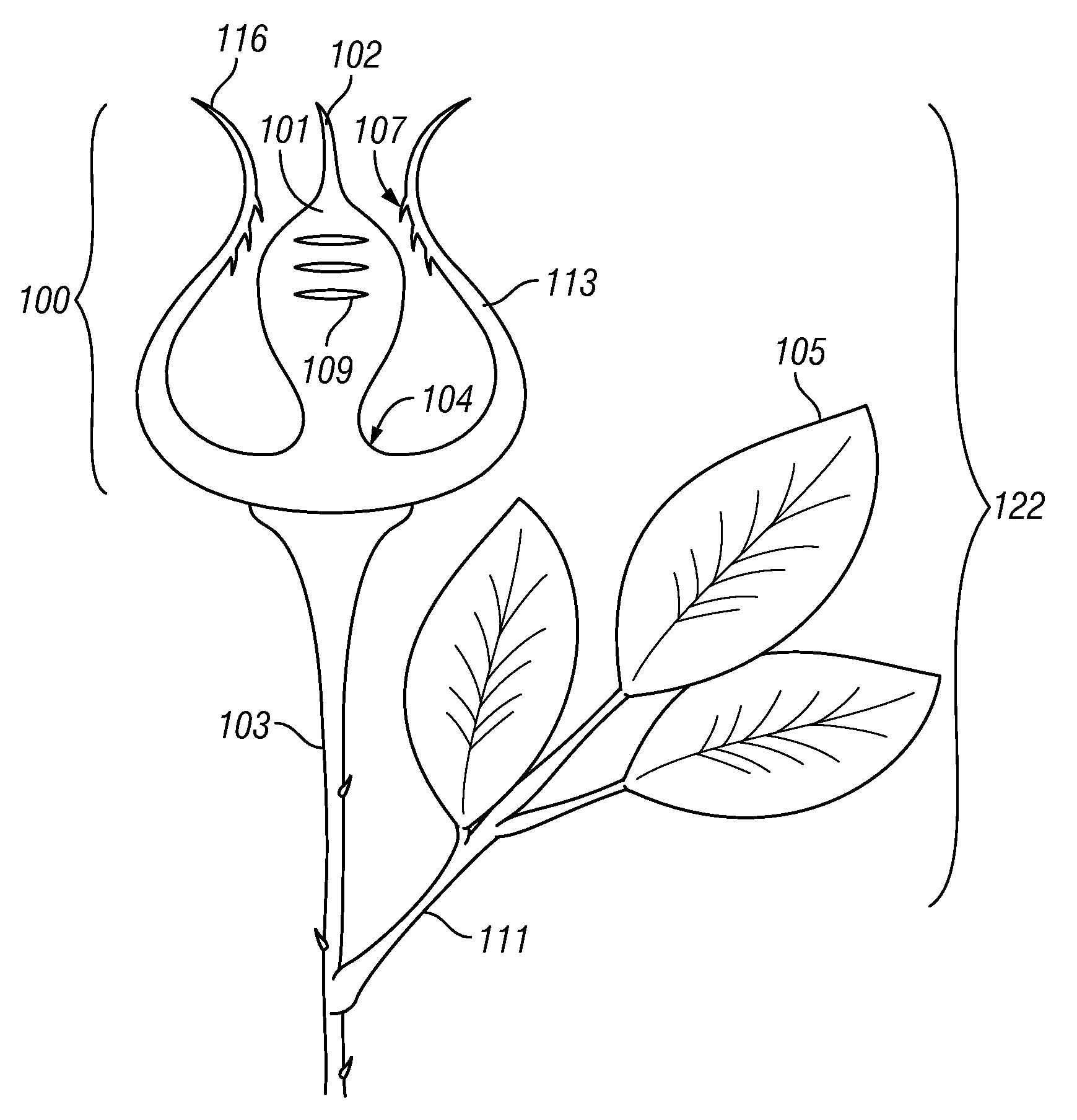 Novel reusable apparatus for affixing gift material to a presentation device