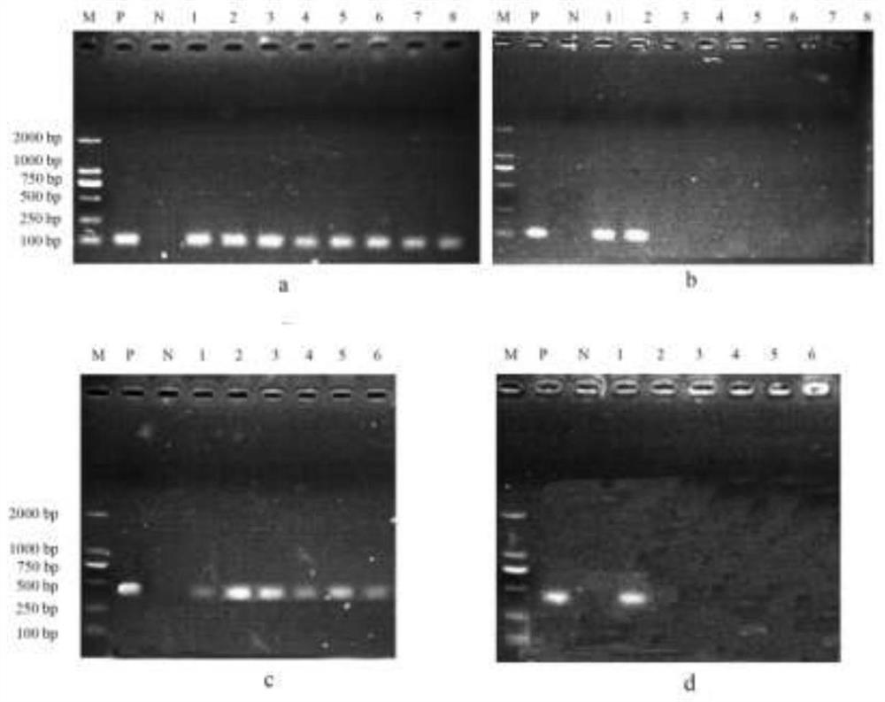 A method for ultra-low temperature removal of Jianlan mosaic virus and blue ringspot virus