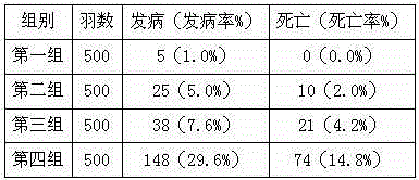 Traditional Chinese medicine composite for treating chicken diarrhea and preparation method thereof