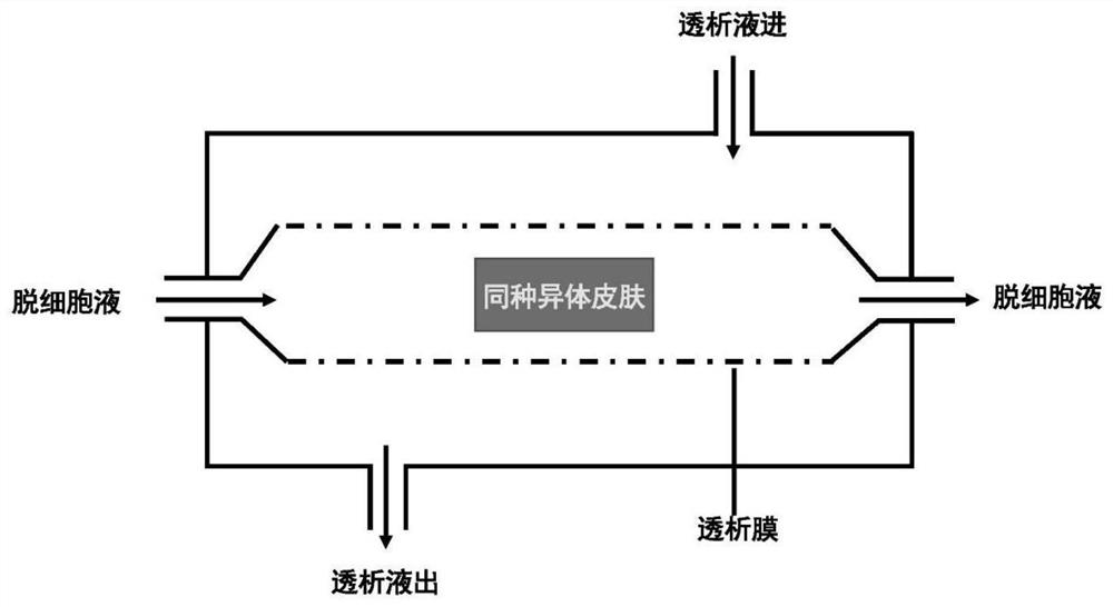 A kind of biological sponge based on decellularized dermal matrix and its preparation method