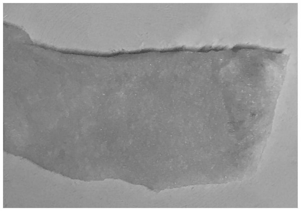 A kind of biological sponge based on decellularized dermal matrix and its preparation method