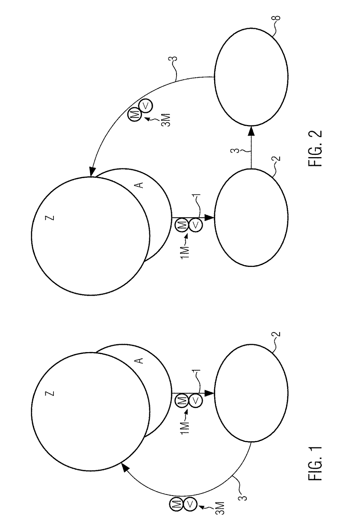 Pasteurization system with purification of the process liquid